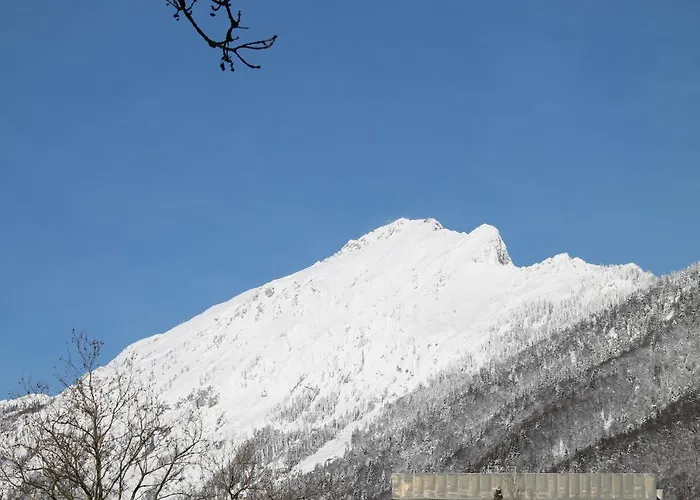 Lex بيت ضيافة باد ريشنهول